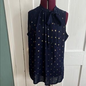 Blue Sleeveless Blouse with Tie Front and Mandarin Collar